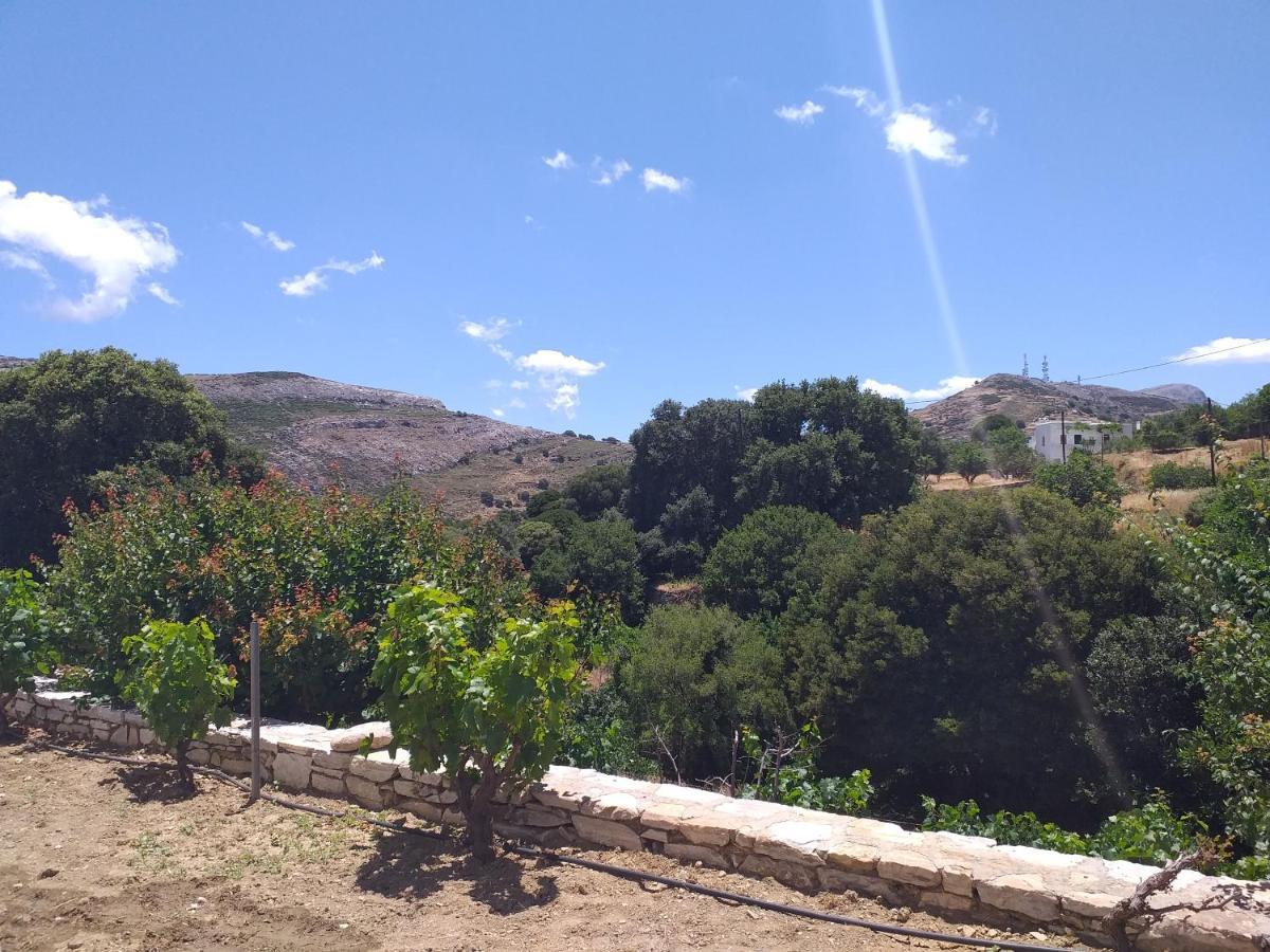 Imellos Aperathos Экстерьер фото